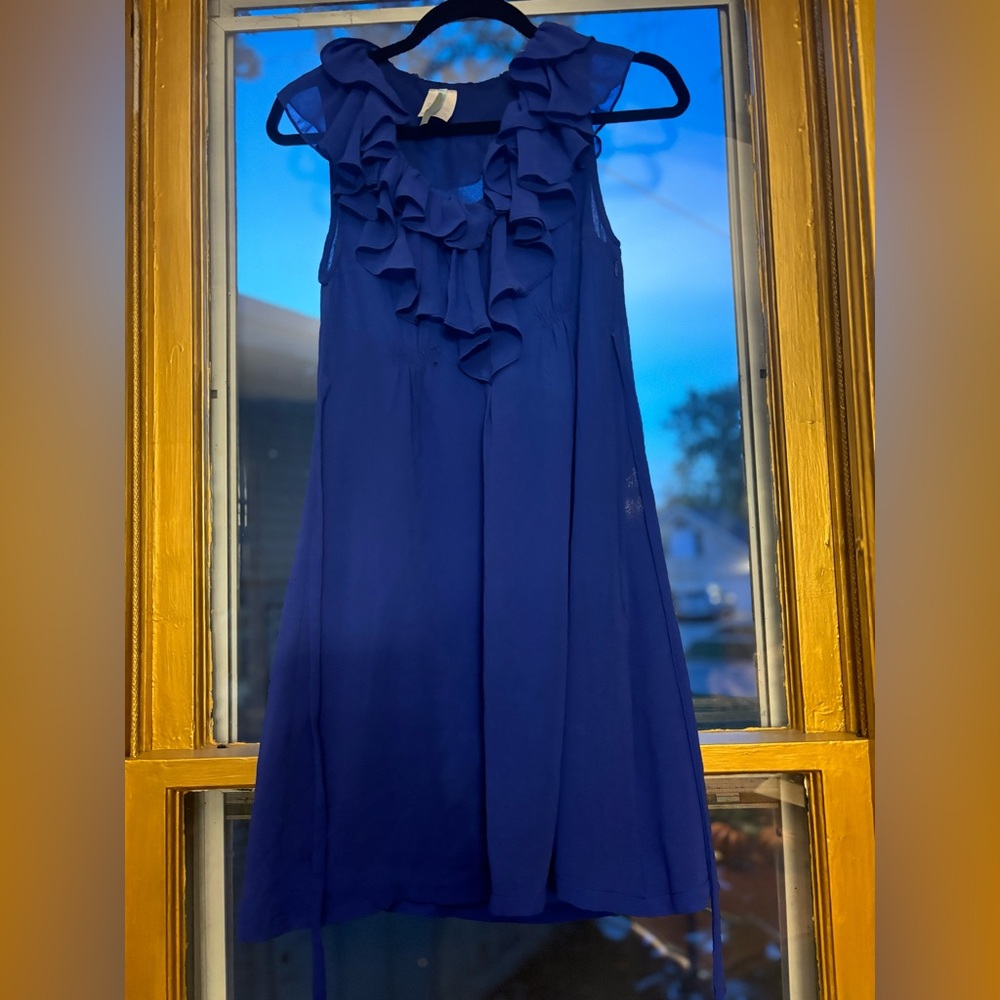 Francesca’s Dress